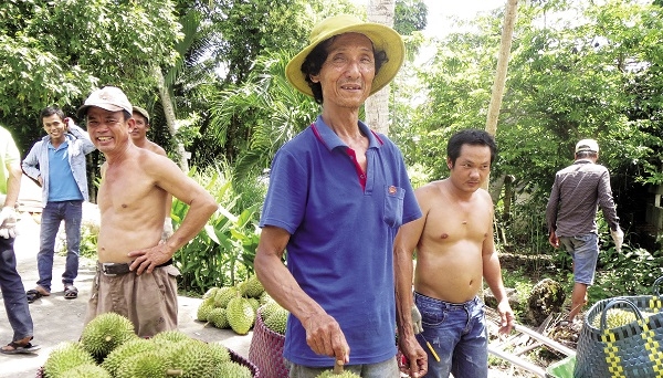 Sầu riêng, trái “vua” của Việt Nam đang dần lên ngôi